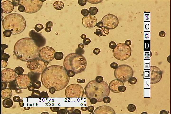 可膨胀微球发泡剂